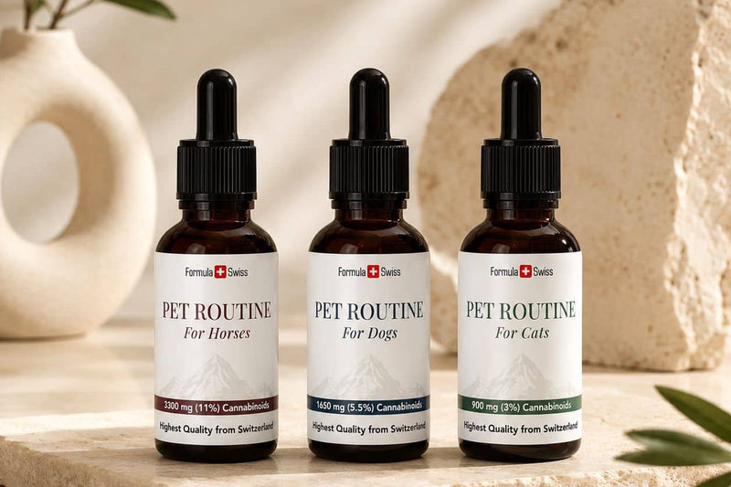 Formula Swiss Pet Routine CBD eļļas zirgiem, suņiem un kaķiem uz akmens virsmas