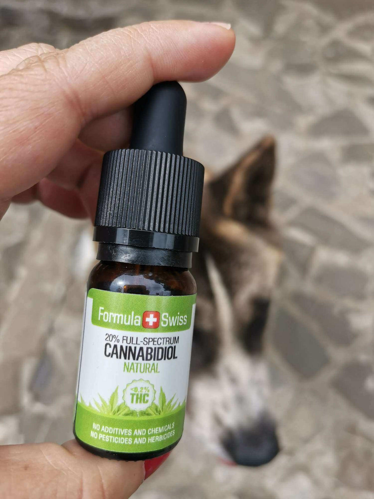 Formula Swiss CBD eļļa MCT eļļā – dabīga