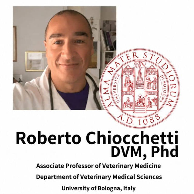 Roberto Chiocchetti