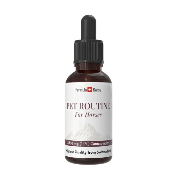Pet Routine zirgiem